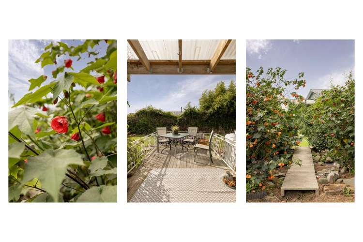 19 Hydro Road Edgecumbe_25