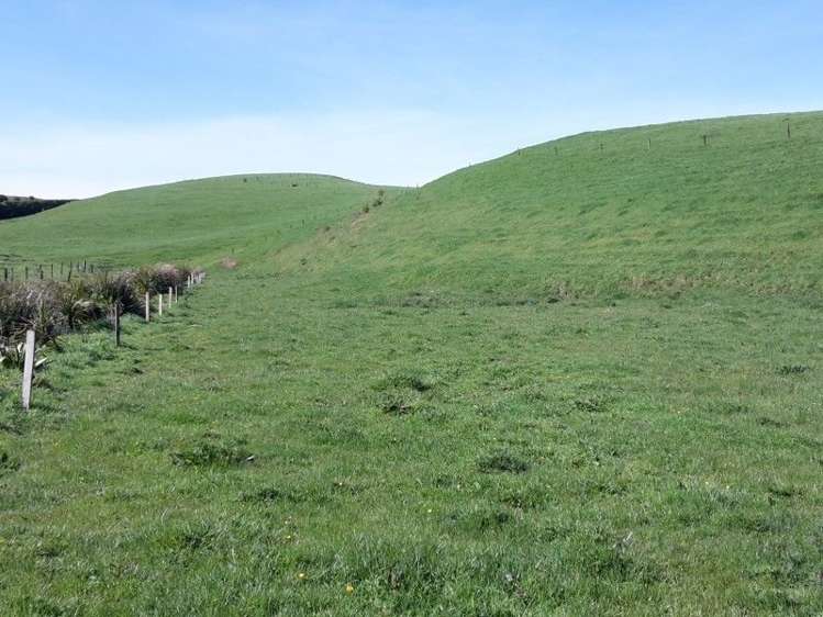 346 Rugby Road Tariki_67