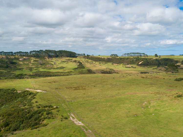 455 Mt Wesley Coast Road Dargaville_12