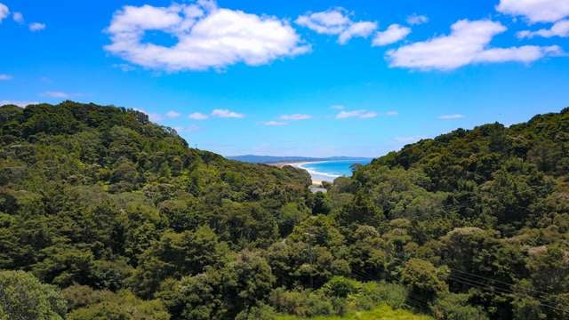 Rare Land Opportunity Near Waipu Cove Beach