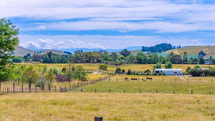 Lot 1/183A Tapairu Road Waipawa_13