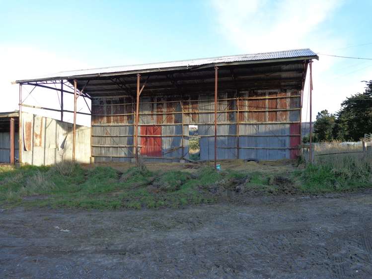 Old Port Road Catlins Surrounds_8