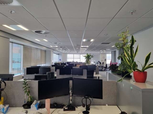 34 Manners Street Te Aro_4