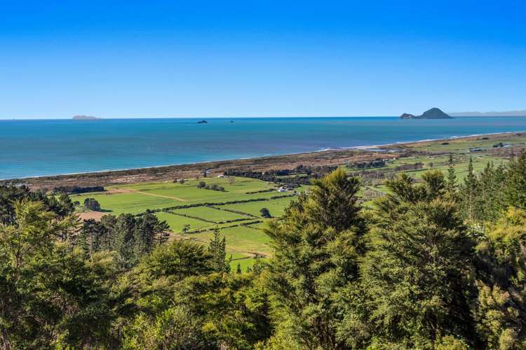 201 Kokako Heights Matata_1