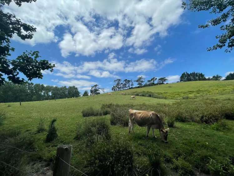 654 Inland Road Helensville_8