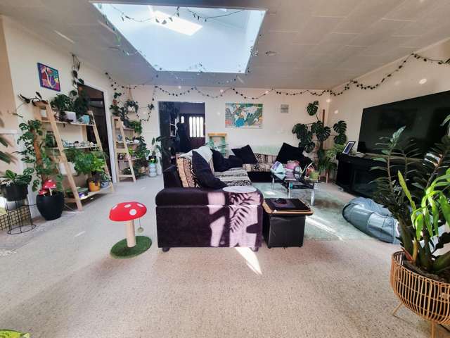 85a Peace Street Whakatane Surrounds_4