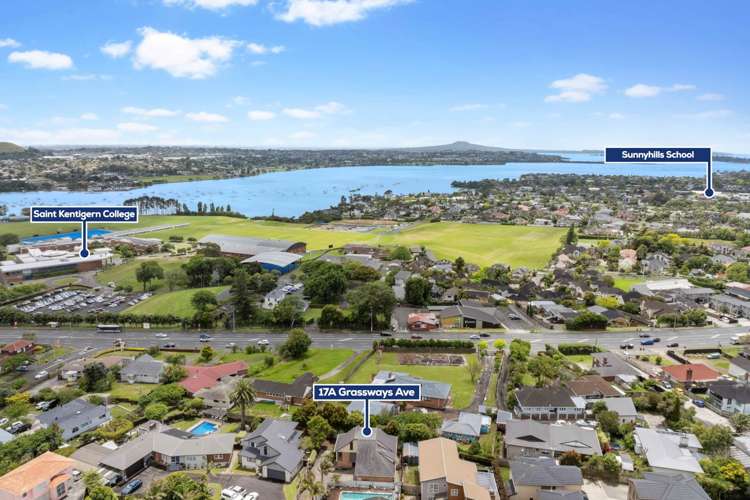 17A Grassways Avenue Pakuranga_1