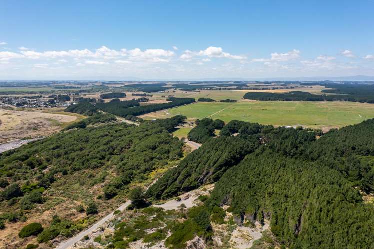 97 Tangimoana Beach Road Tangimoana_29