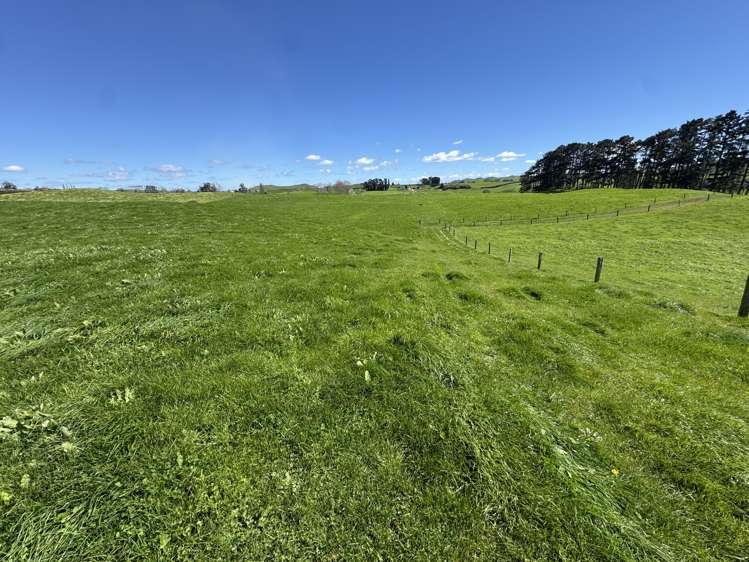530 Mangatutu Rd RD3 Maihiihi_18
