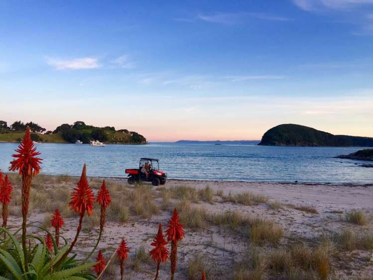 190 Pacific Ocean, Slipper Island (Whakahua) Thames_41