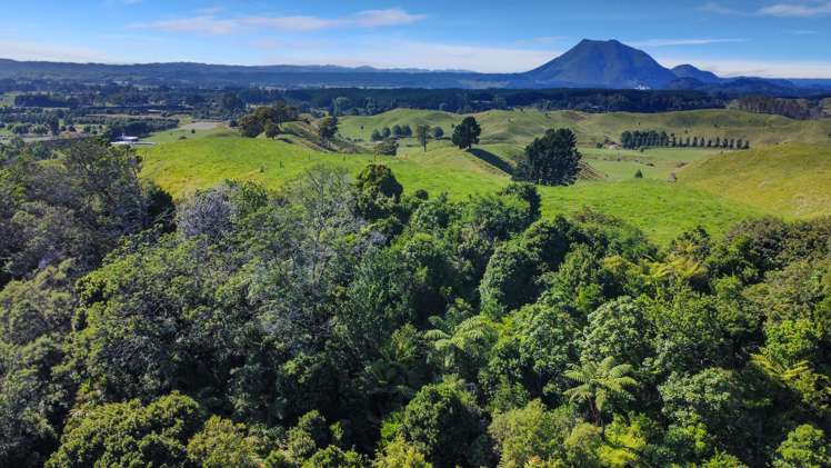 109 McIvor Road Rotoma_17