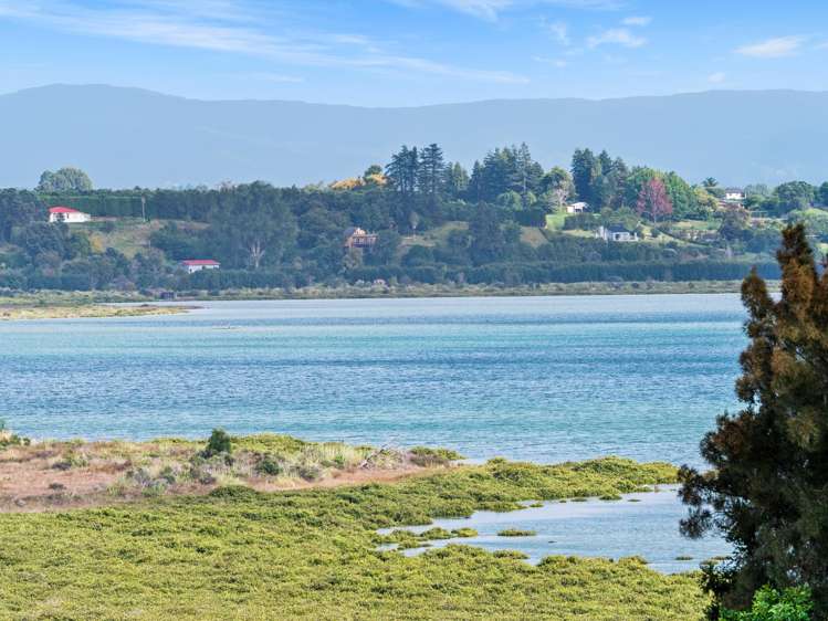 85 Anne Road Bellevue_19