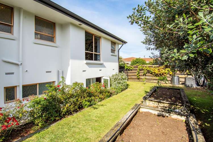 5 Idesia Grove Matua_19