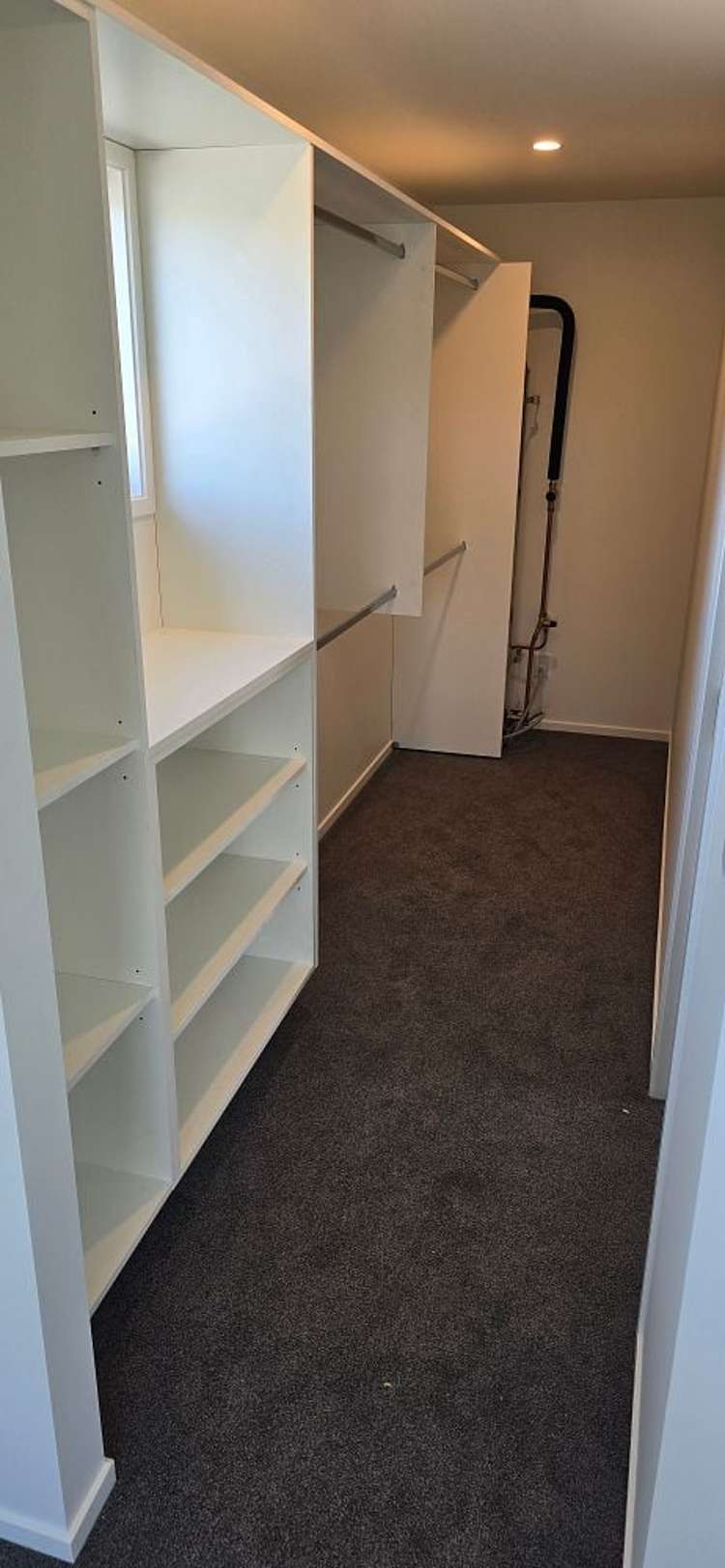 28A Windsor Road Bellevue_13