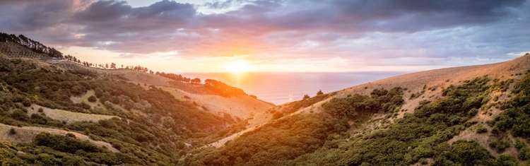 380 Whaanga Road Raglan_42