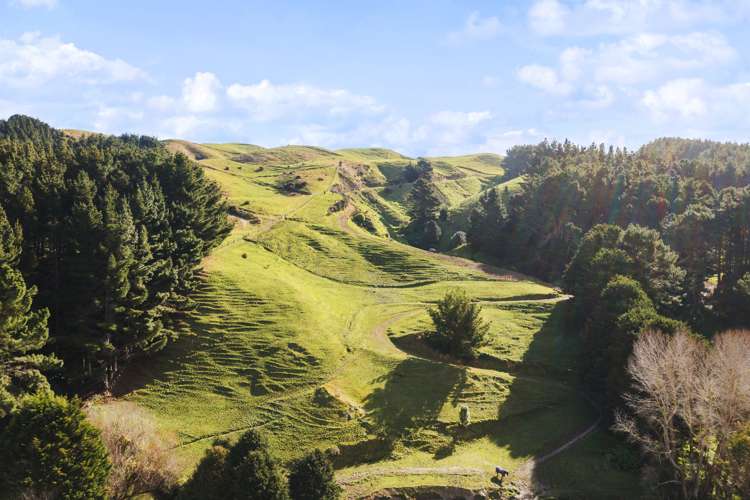 549 Ohariu Valley Road Ohariu_17