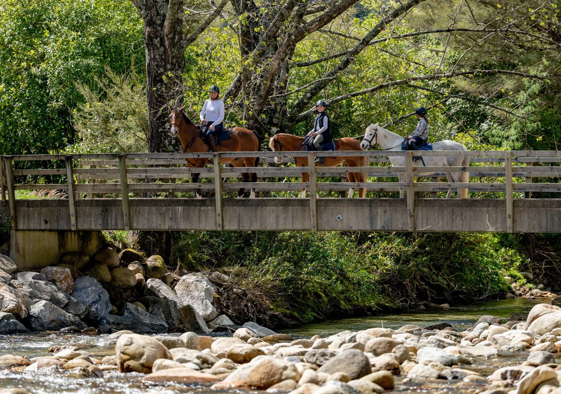 217 Harvey Road Marahau_0