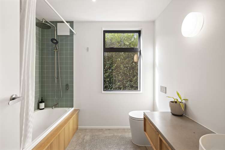 13 Hoggard Street Vogeltown_10