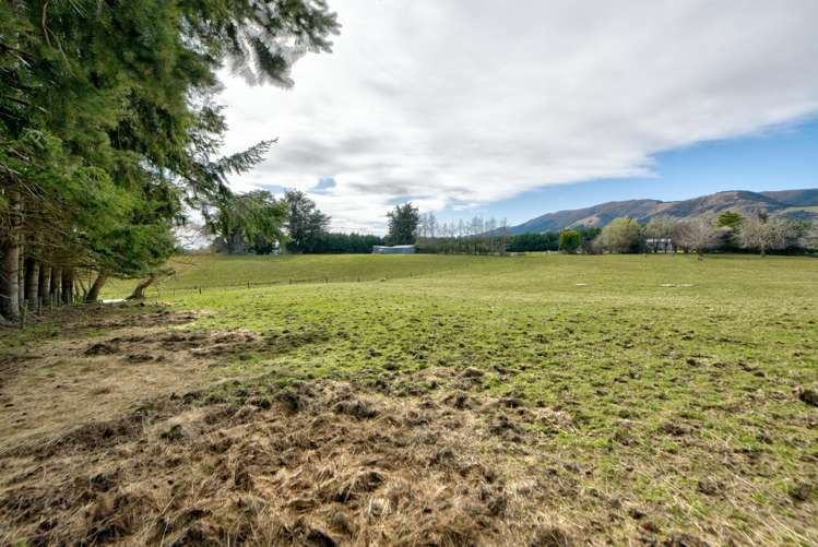 Braudigam Road East Tapanui_17