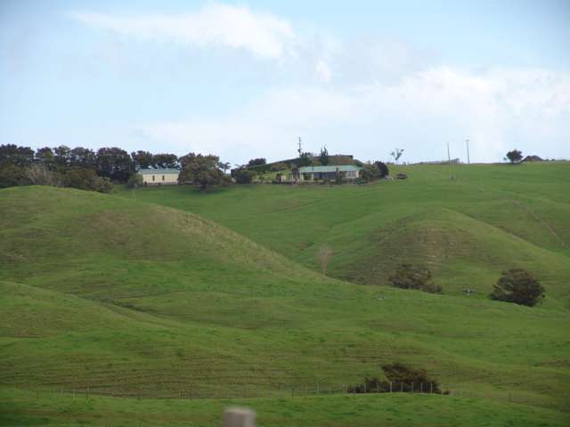 259 Arapohue Road Dargaville Surrounds_2