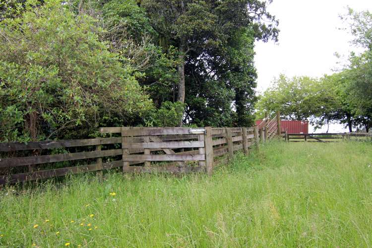 443b Murray Road Pukekawa_13