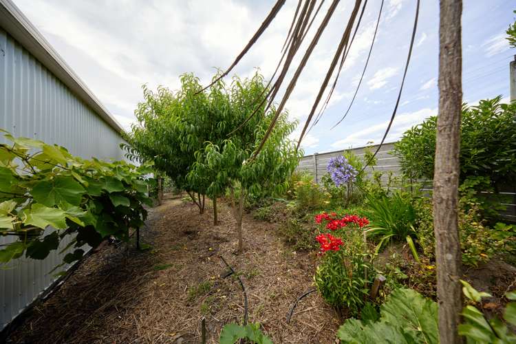 219 Beach Road Kaikoura_61