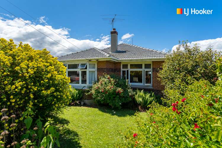 109 Forbury Road Saint Clair_3