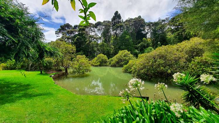 12 Beach Street Sandspit_7