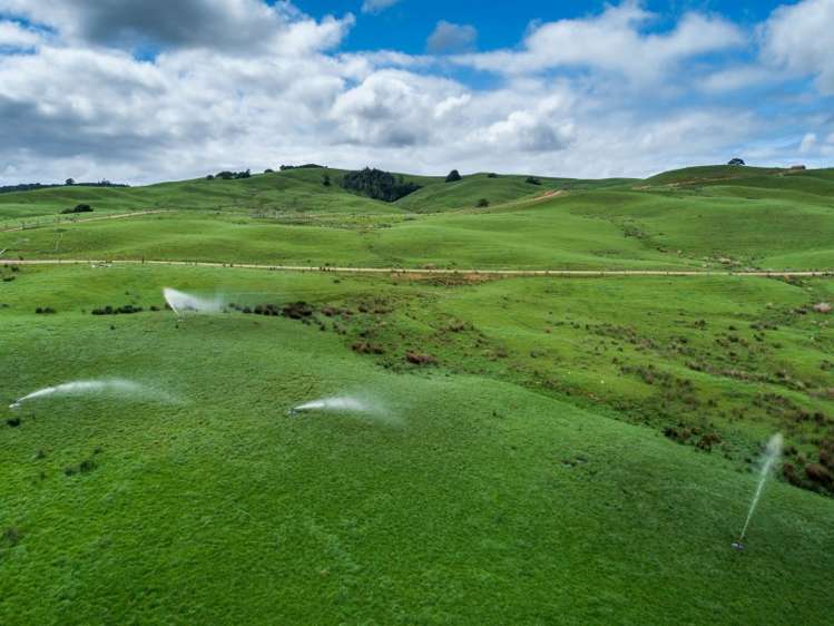 1427 Mititai Road Arapohue_14