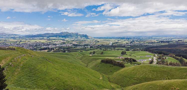 226 Mountain Road Gore Surrounds_15