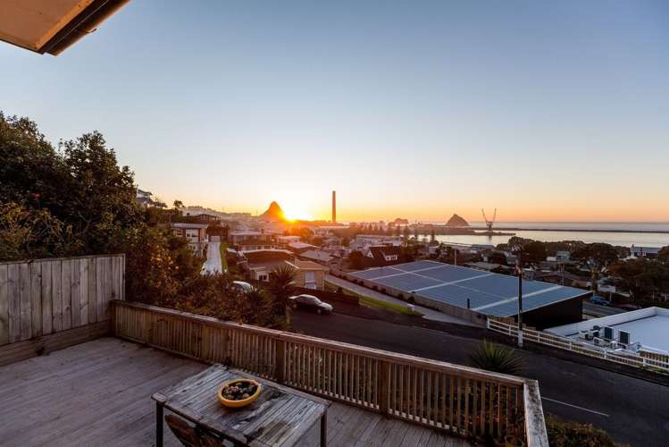 9 South Road Moturoa_16