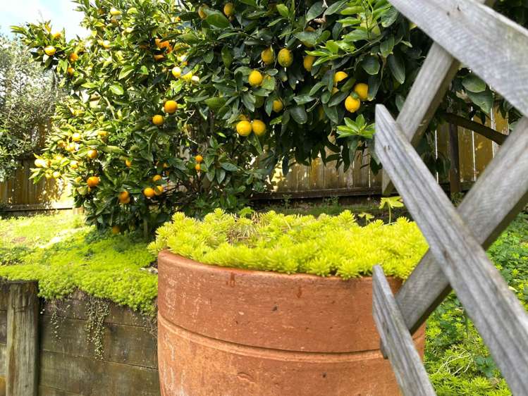 1b Liverpool Street Tuakau_8