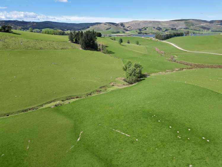 Berwick Road Clarendon_6