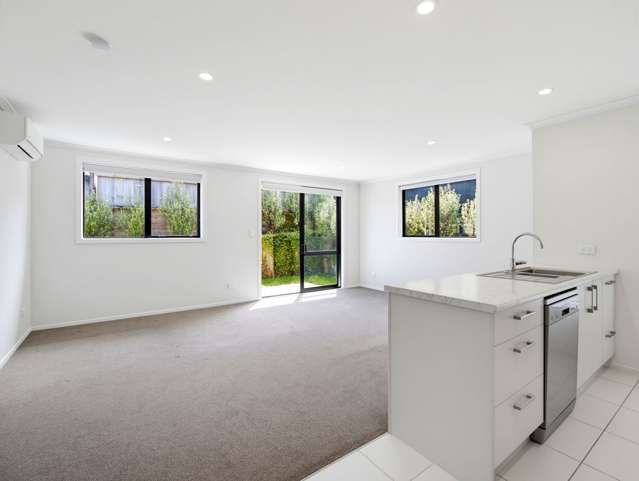 3/196 Grandview Road Nawton_2