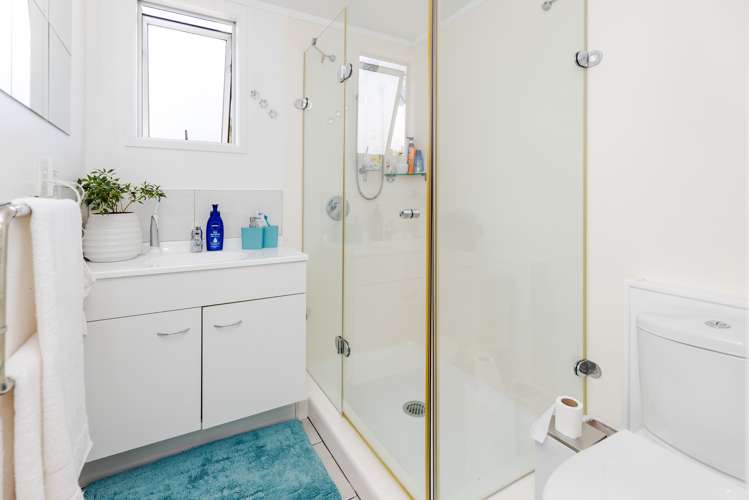 6a Matai Street Maeroa_11