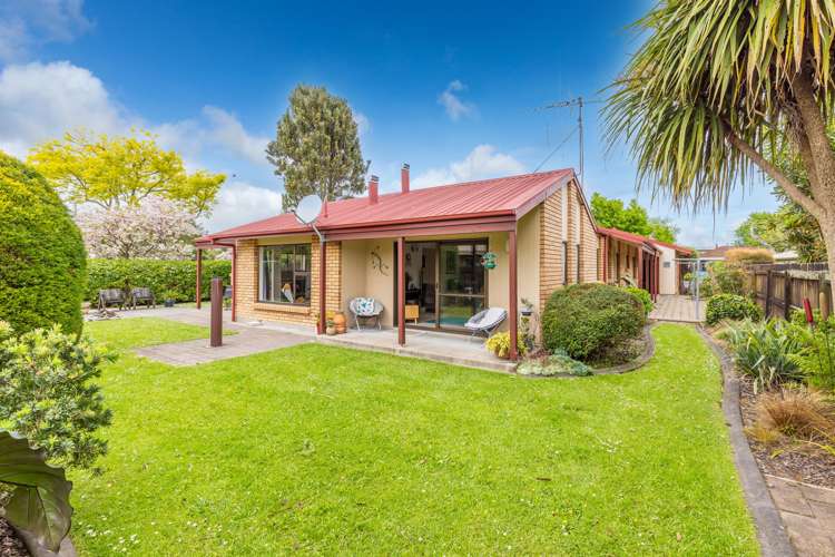 25 Bailey Avenue Claudelands_6