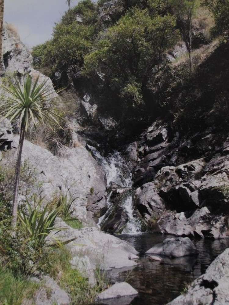 649 Kauru Hill Road Five Forks and Surrounds_49