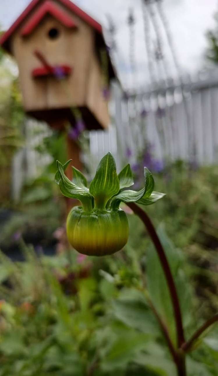 30a Langstone Street Welcome Bay_6