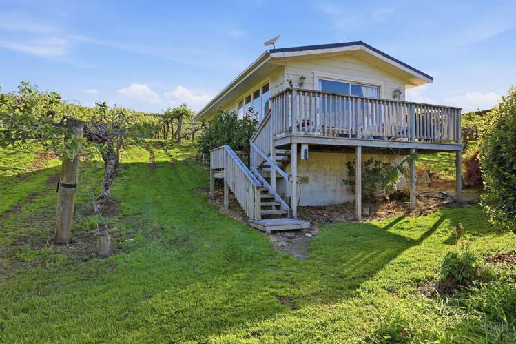 672 No 1 Road Te Puke_36