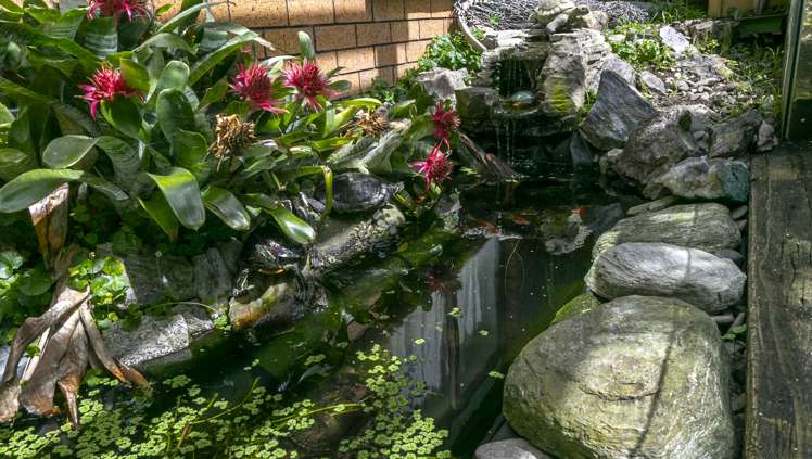 30 Kimihia Road Huntly_5