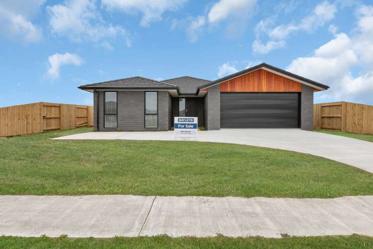15 Te Taniwha Road One Tree Point_21