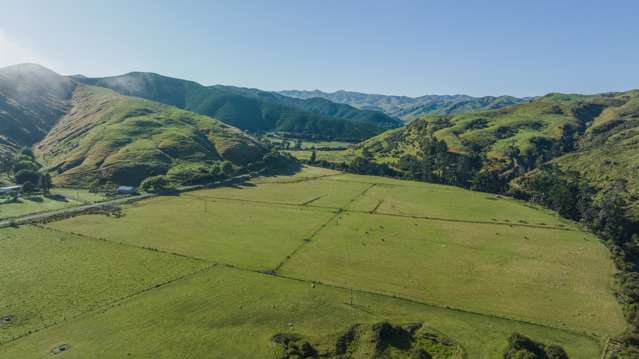 1311 Pahiatua Pongaroa Road Pahiatua_1