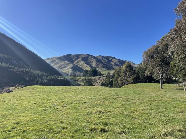 1067 Taylor Pass Road_4