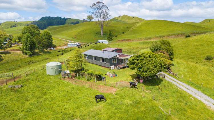 680 State Highway 4 Te Mapara_17