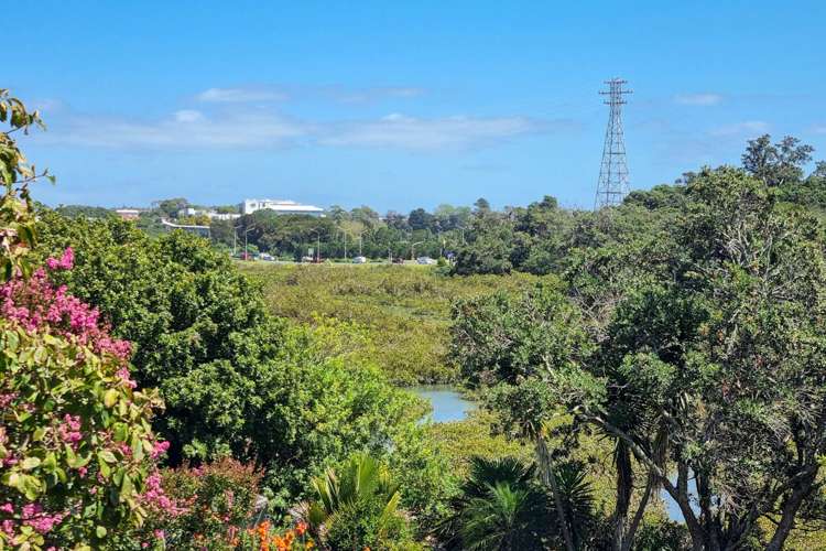 24 Spencer Terrace Hauraki_26