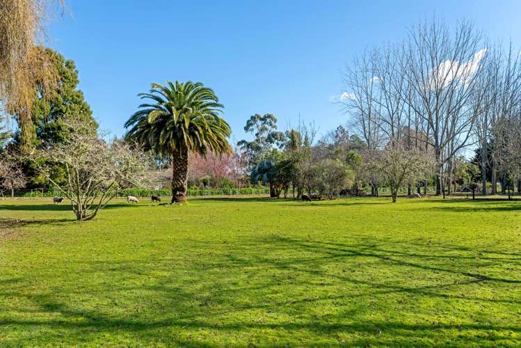 125 Somerton Road Makauri_14