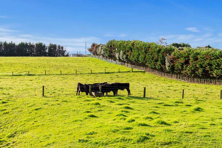 15 Duff Road Waiuku_36