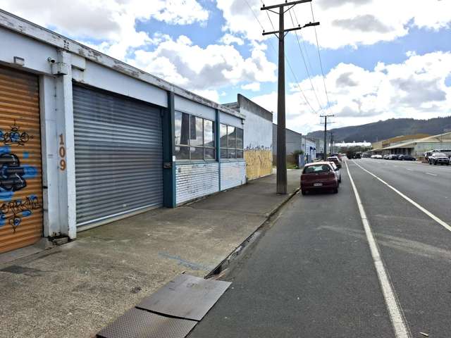 111 Fryatt Street Dunedin Central_1