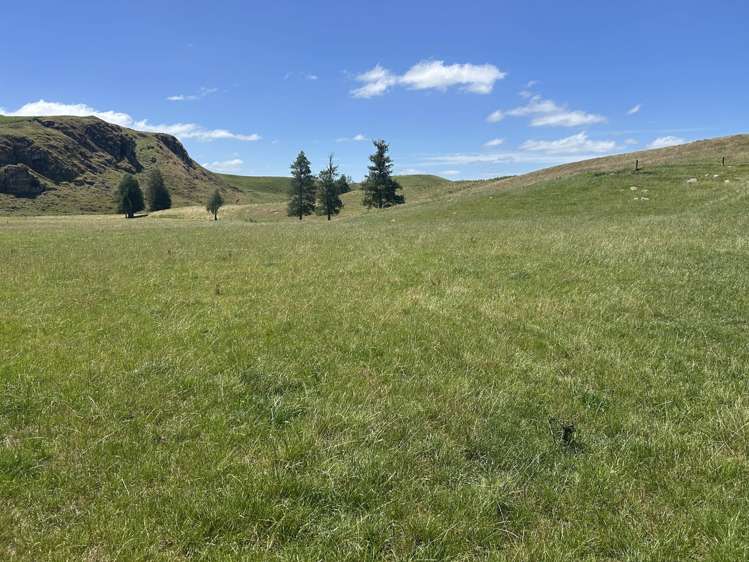 Kahuwera Road Piopio_24