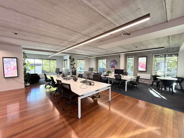 2 Picton Street Ponsonby_1